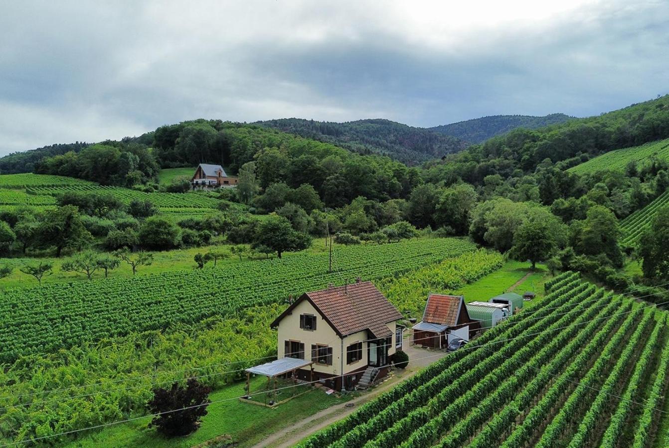 Dandelion Bed & Breakfast 리보빌레 외부 사진