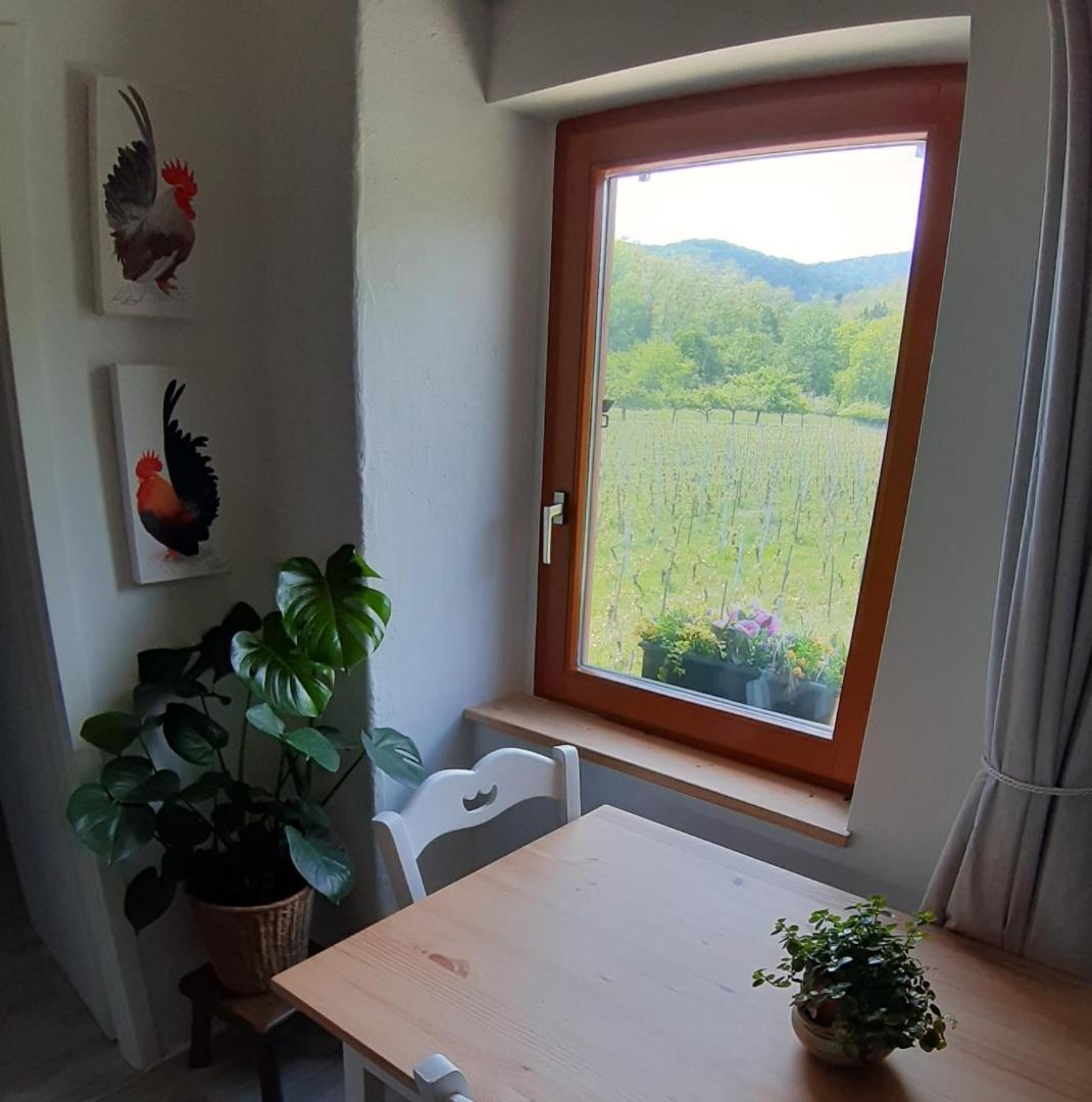 Dandelion Bed & Breakfast 리보빌레 외부 사진